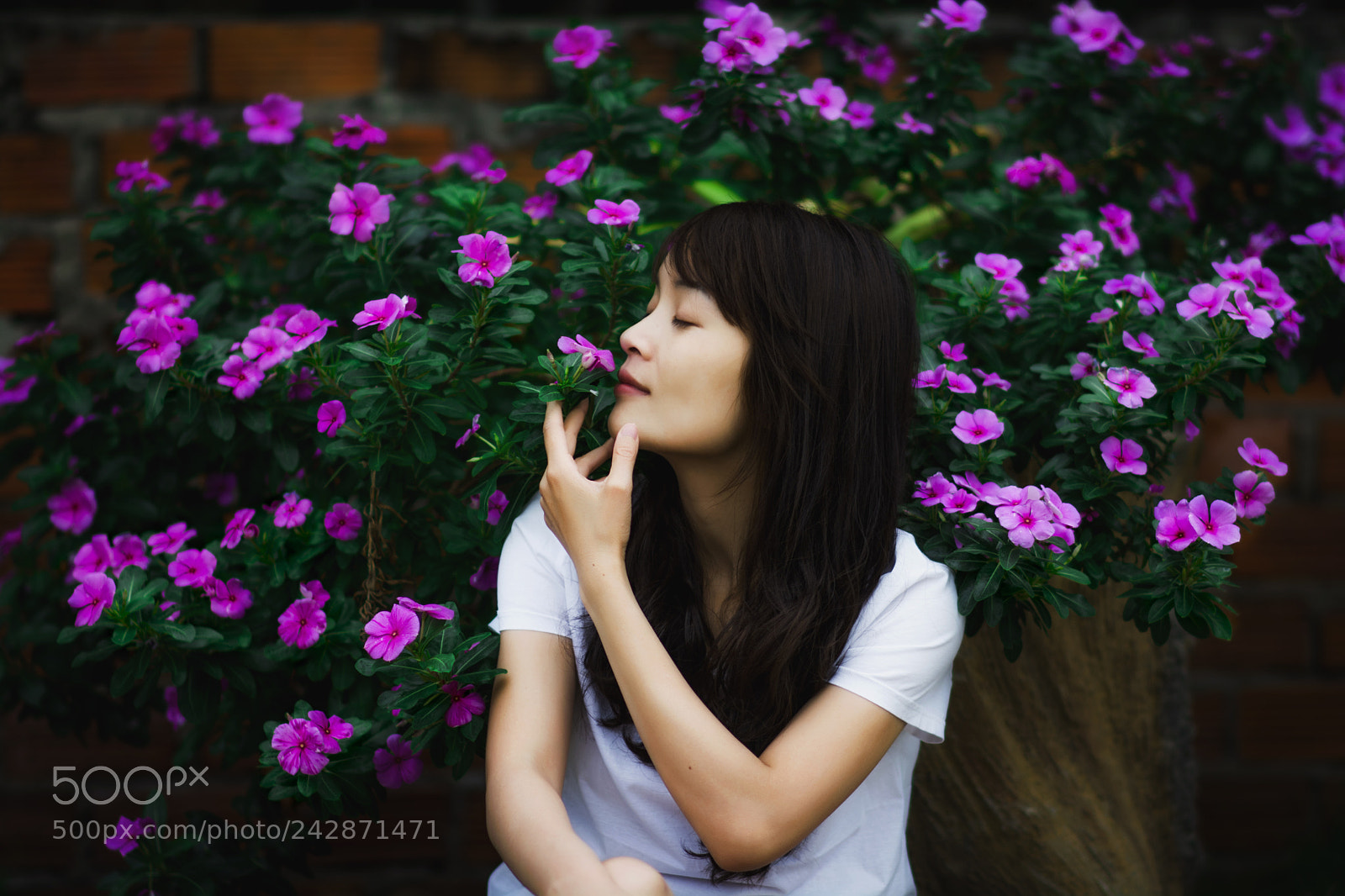 Nikon D7100 sample photo. Rob photography