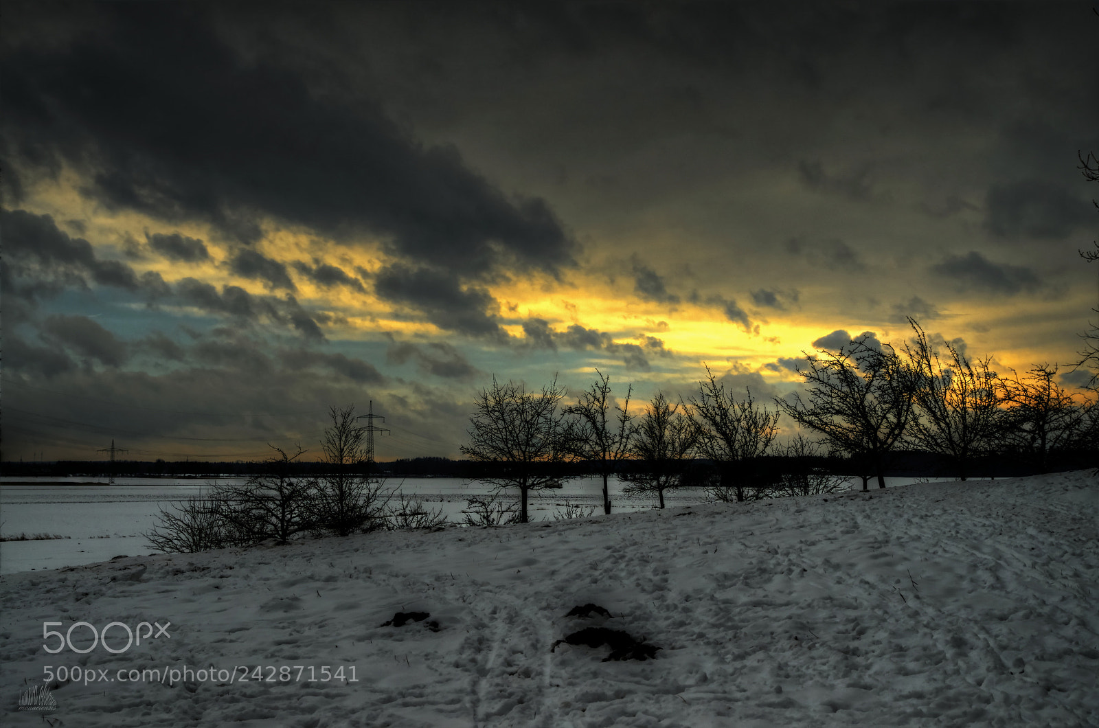 Sony ILCA-77M2 sample photo. Appletrees in the wintertime photography