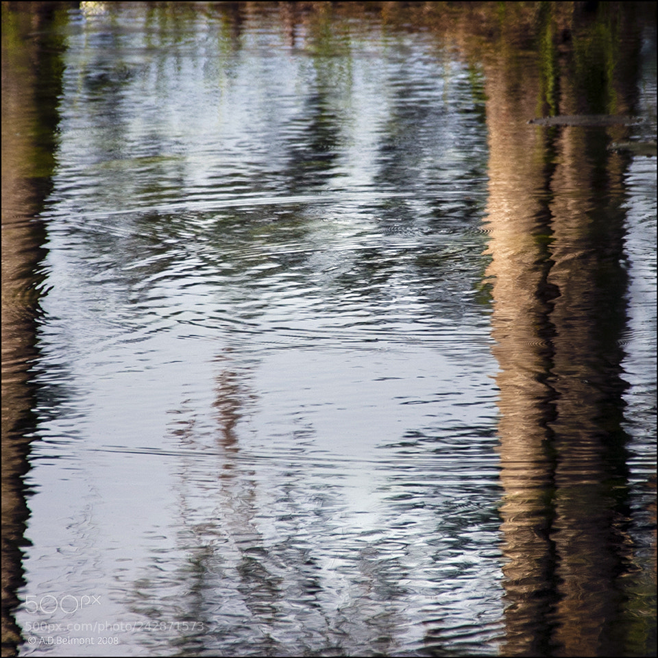 Canon EOS 40D sample photo. Reflections photography