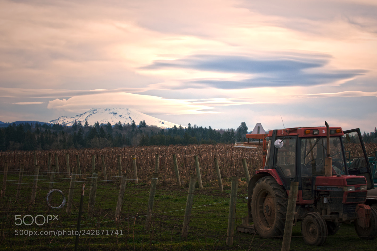Nikon D7200 sample photo. Rural views photography