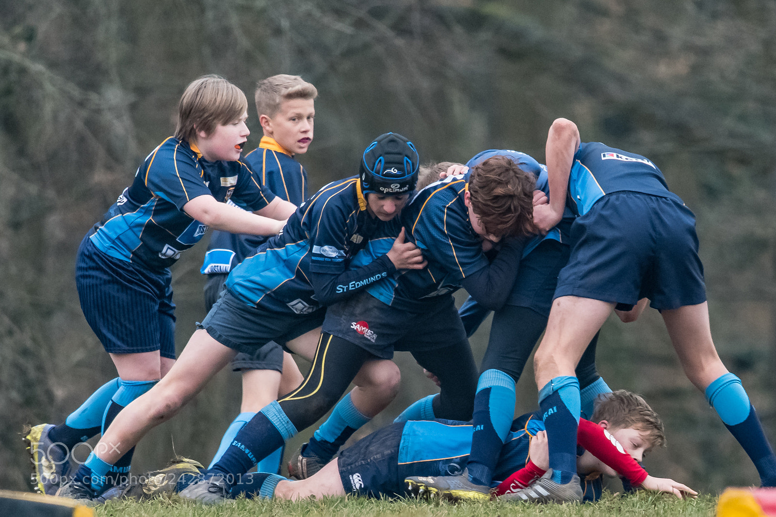 Nikon D850 sample photo. Getting stuck in! photography