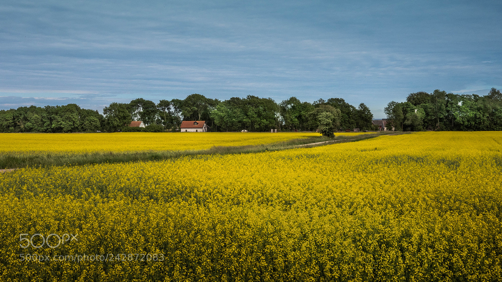 Panasonic Lumix DMC-GX8 sample photo. Summertimes photography