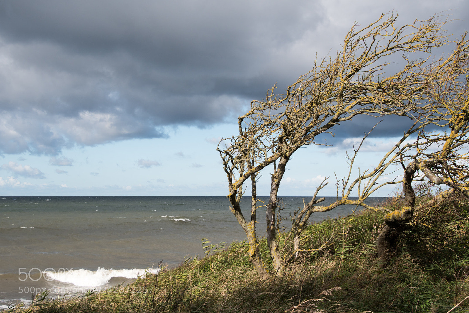 Nikon D500 sample photo. Seascape photography