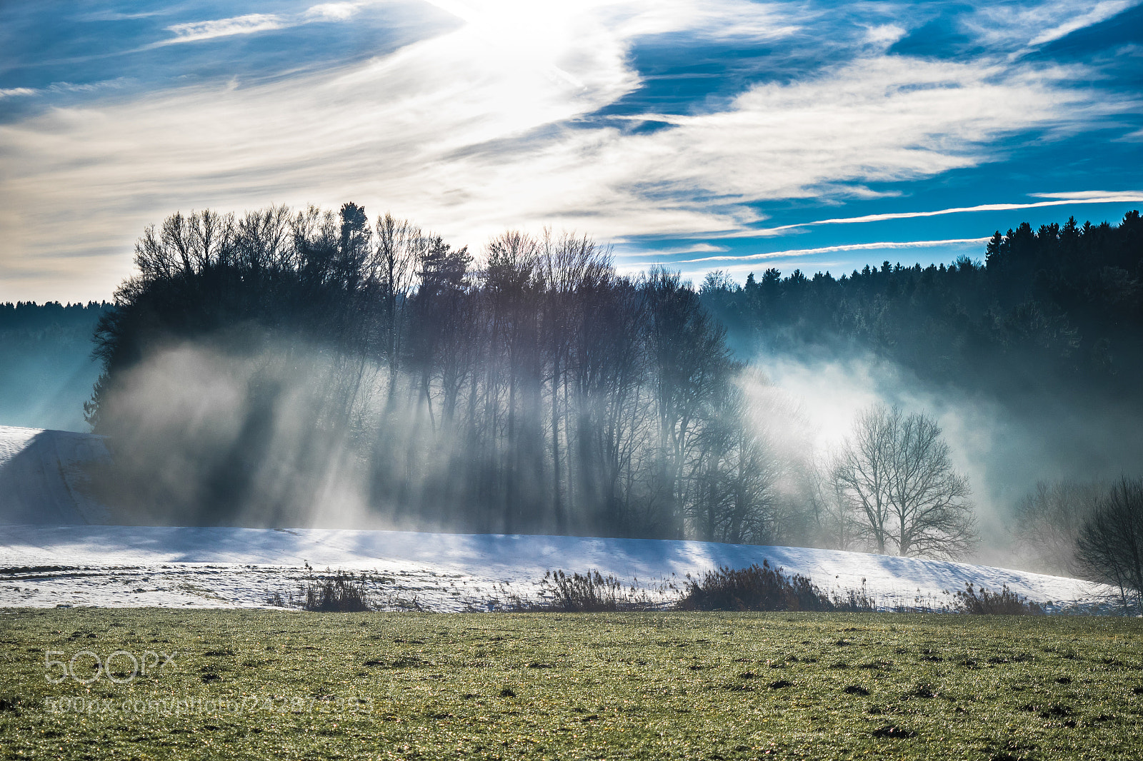 Olympus OM-D E-M1 sample photo. Foggy trees photography