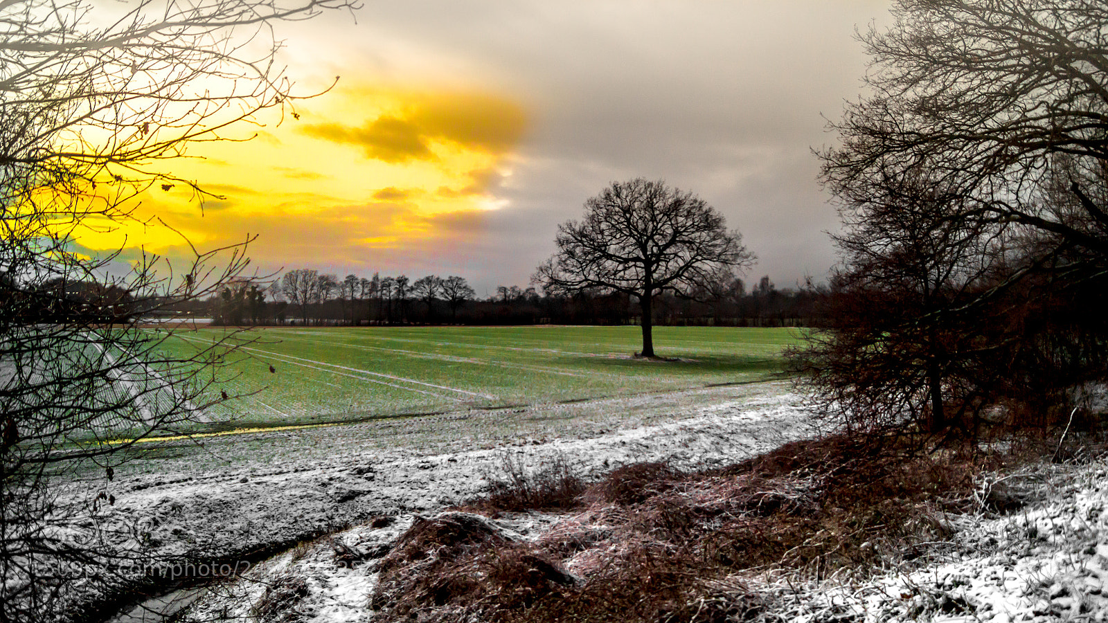 Sony SLT-A58 sample photo. Field photography
