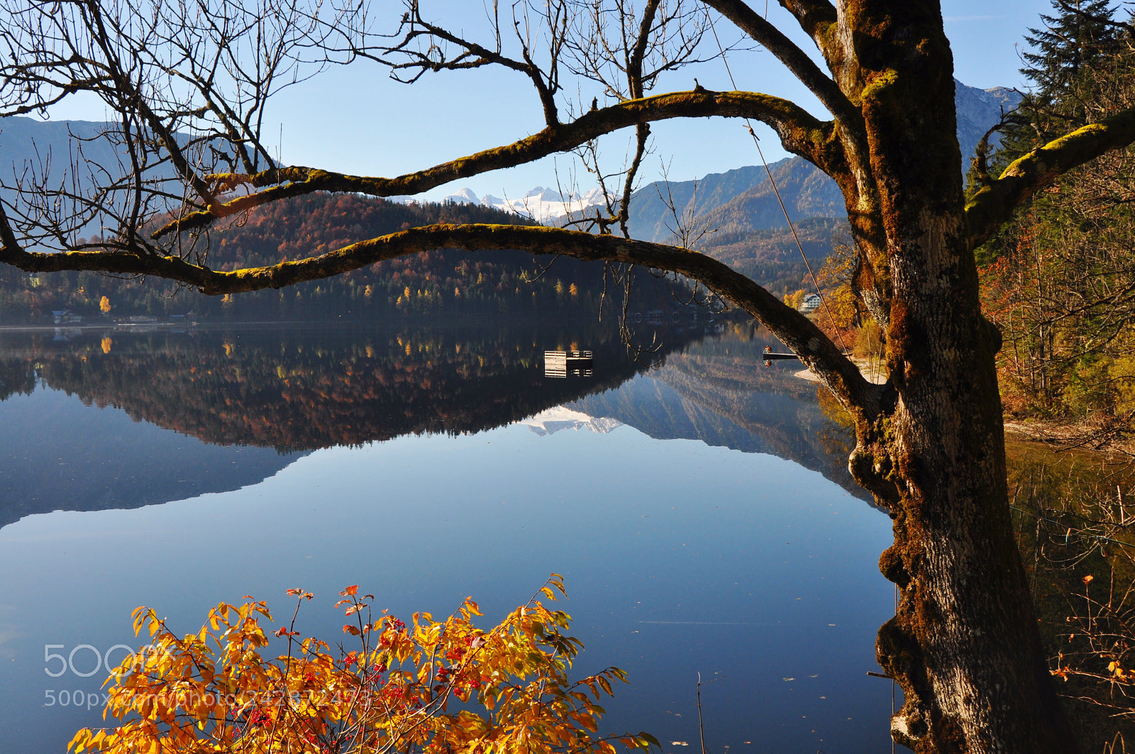 Nikon D90 sample photo. Untitled photography
