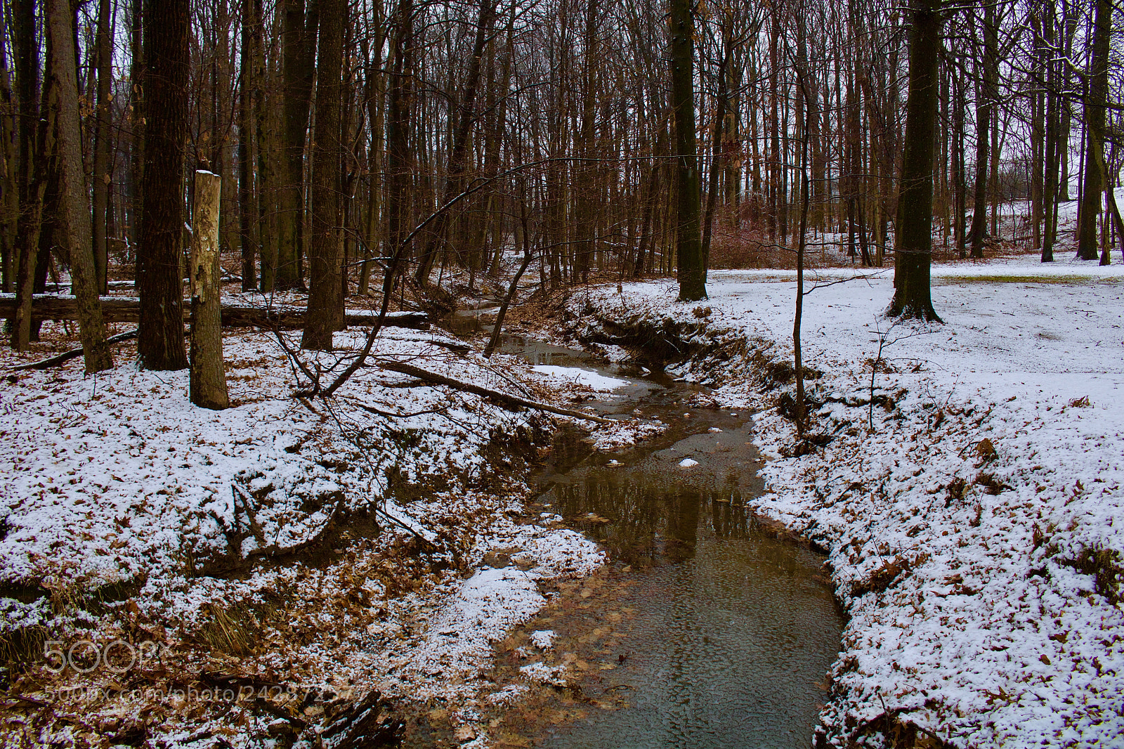 Canon EOS 750D (EOS Rebel T6i / EOS Kiss X8i) sample photo. Winter day photography