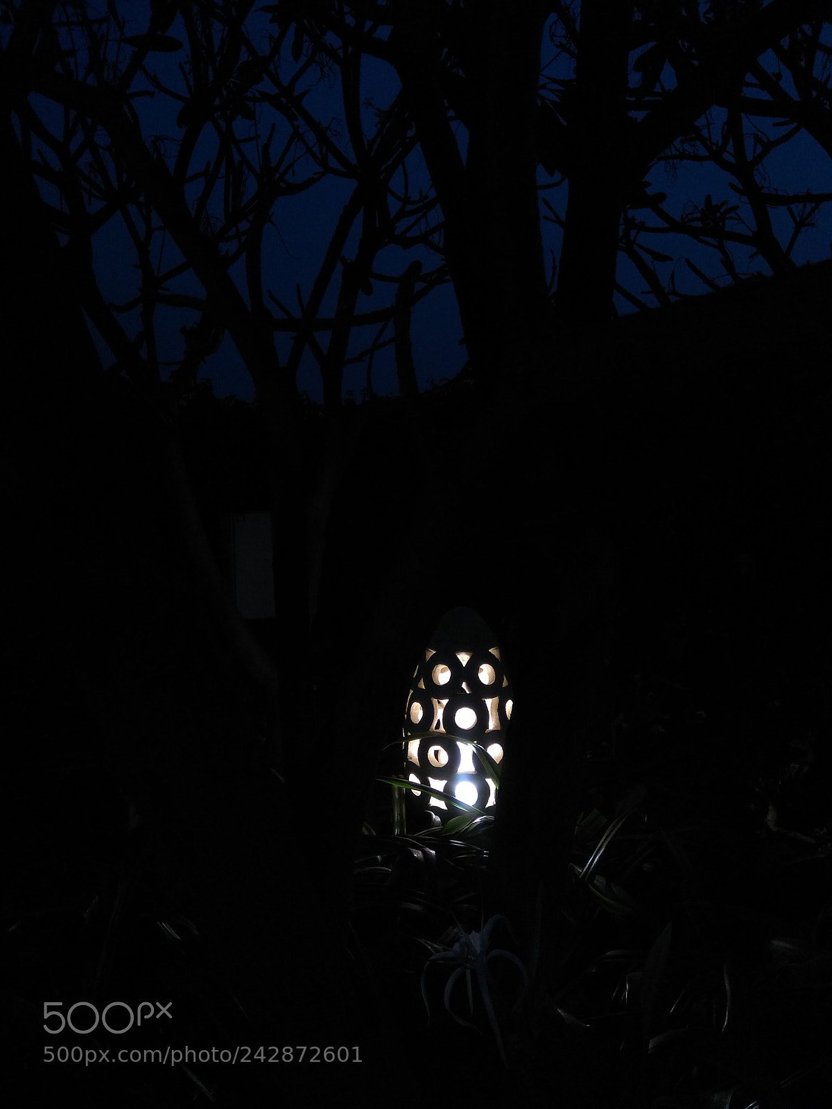 Xiaomi Redmi Note 4 sample photo. Night light photography
