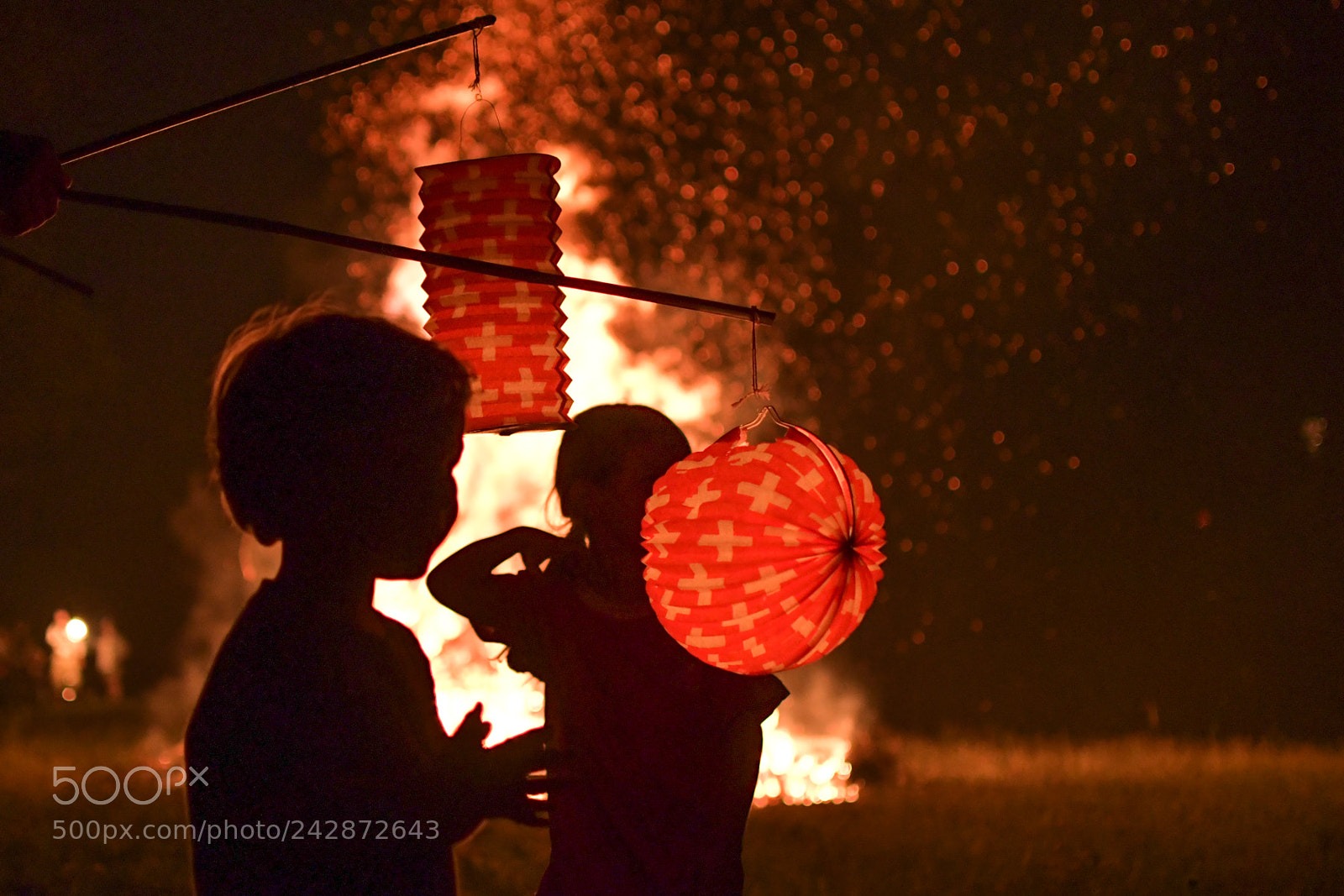 Nikon D500 sample photo. Lampion photography