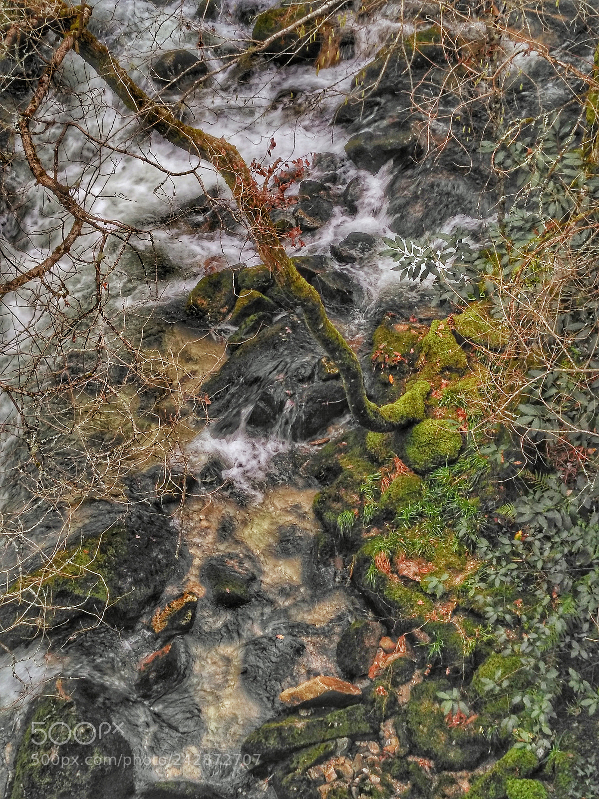 HUAWEI nova plus sample photo. Untitled photography