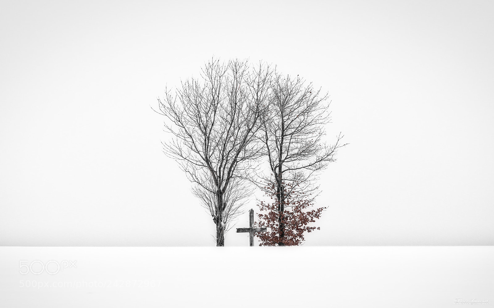 Sony a7R III sample photo. Moments in the snow_1 photography