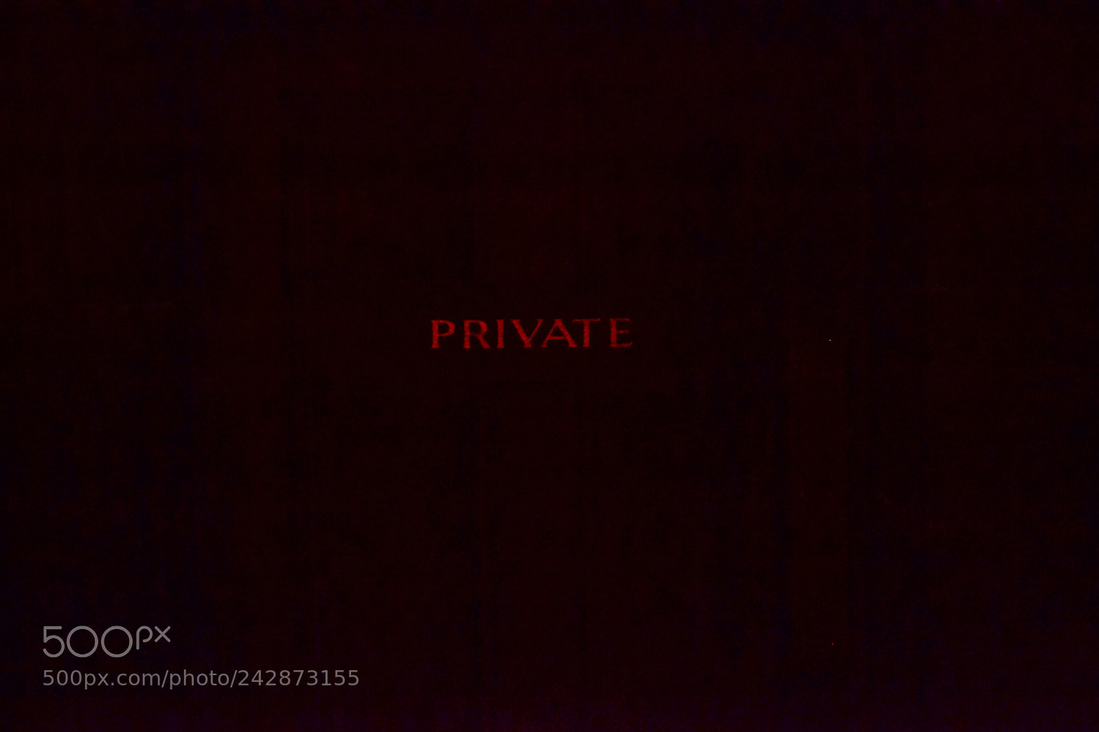Nikon D3100 sample photo. P r i v photography