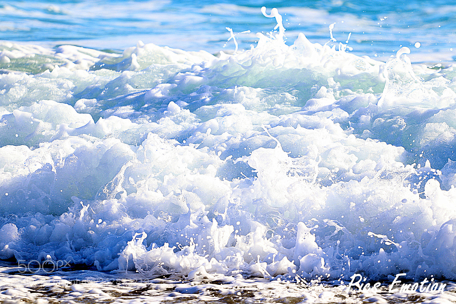 Canon EOS 77D (EOS 9000D / EOS 770D) sample photo. Nice is nice photography