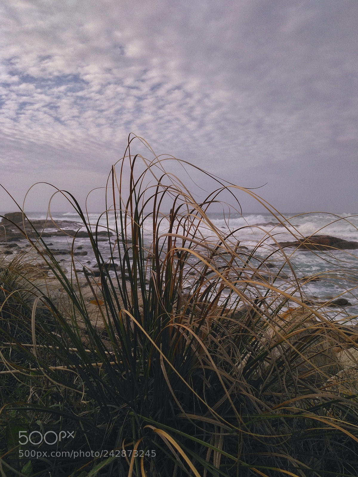 HUAWEI nova plus sample photo. Untitled photography