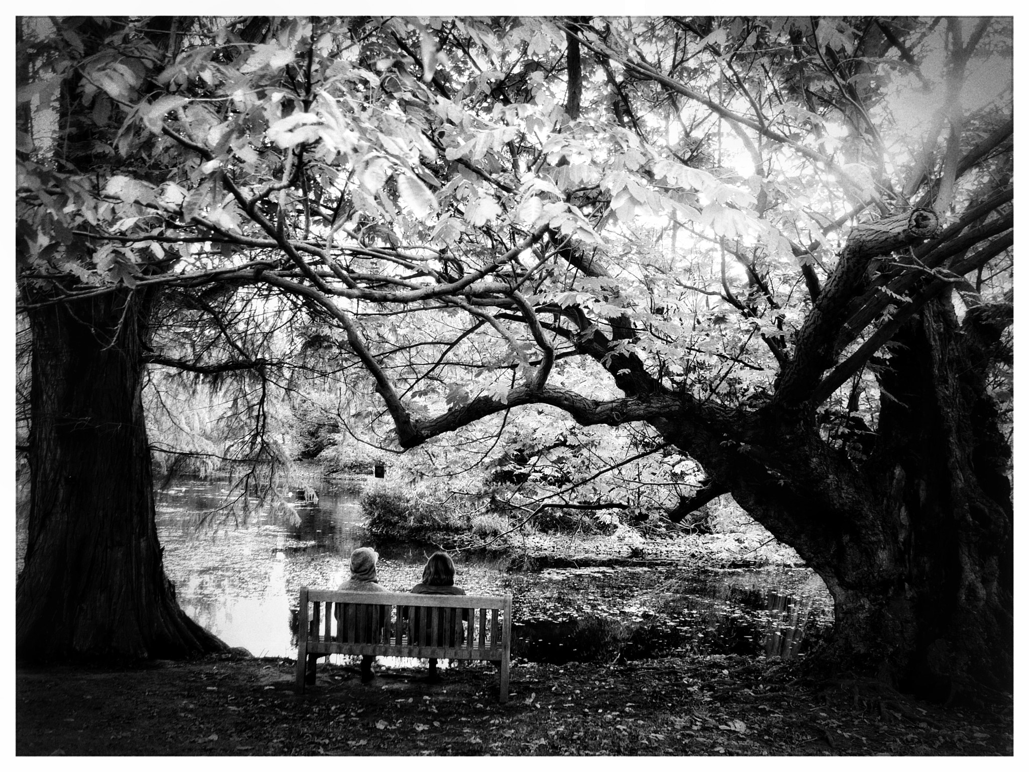 Panasonic Lumix DMC-GF6 sample photo. Two on the bench photography