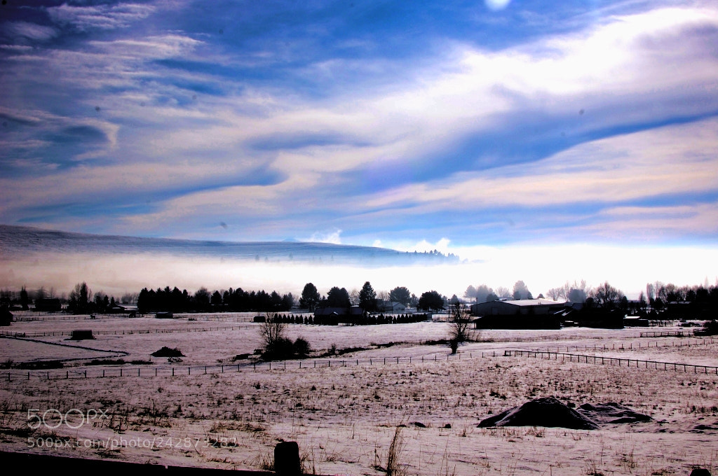 Nikon D40 sample photo. Inversion therapy photography
