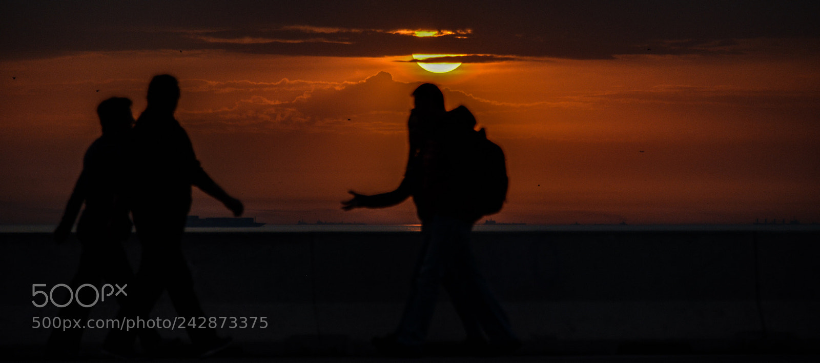 Nikon D800 sample photo. F photography