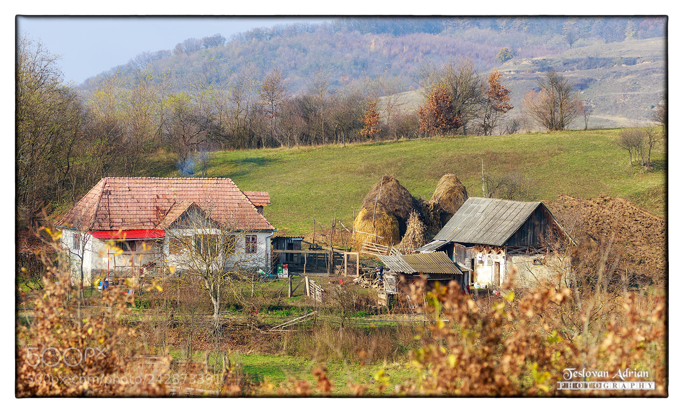 Canon EOS 7D Mark II sample photo. Home... photography