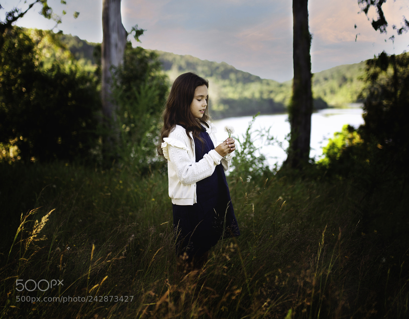 Nikon D610 sample photo. Untitled photography