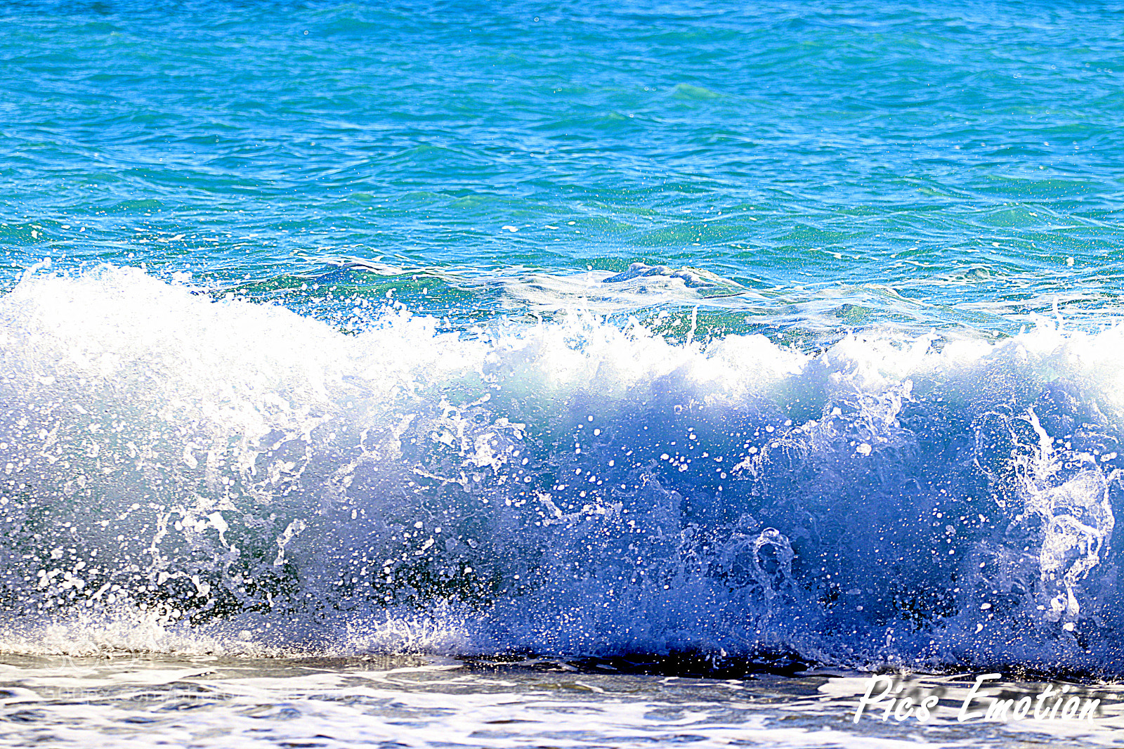 Canon EOS 77D (EOS 9000D / EOS 770D) sample photo. Nice is nice photography