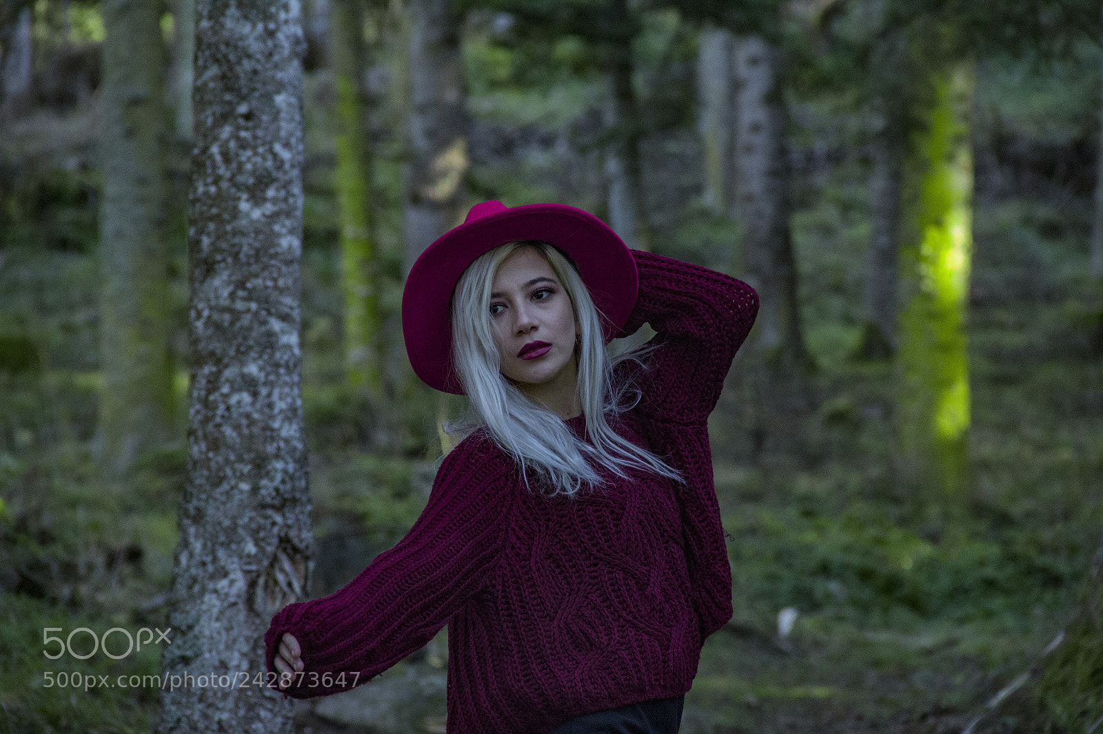 Canon EOS 60D sample photo. Model Çekimi photography