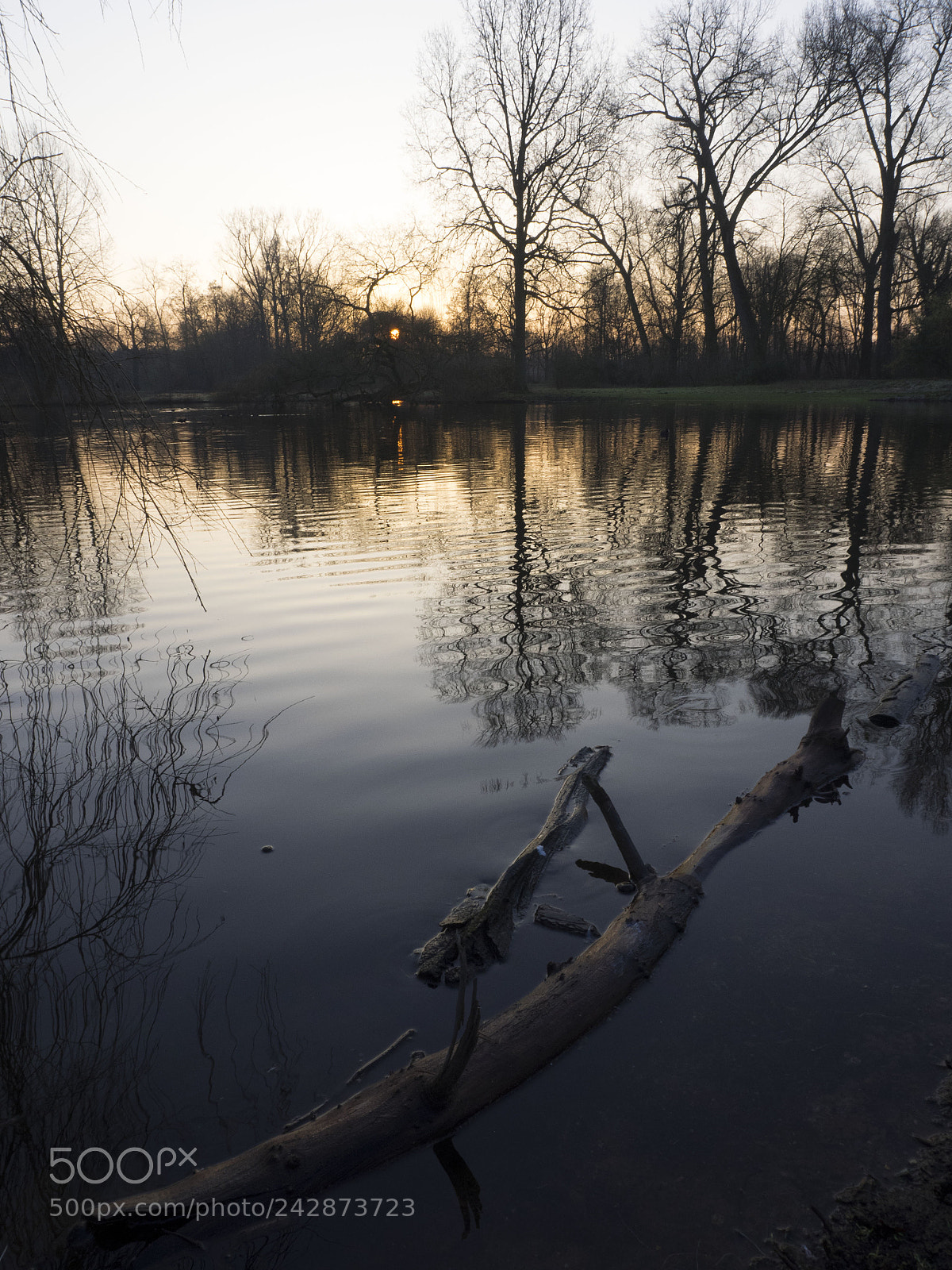 Olympus OM-D E-M1 sample photo. Sunrise over pond in photography