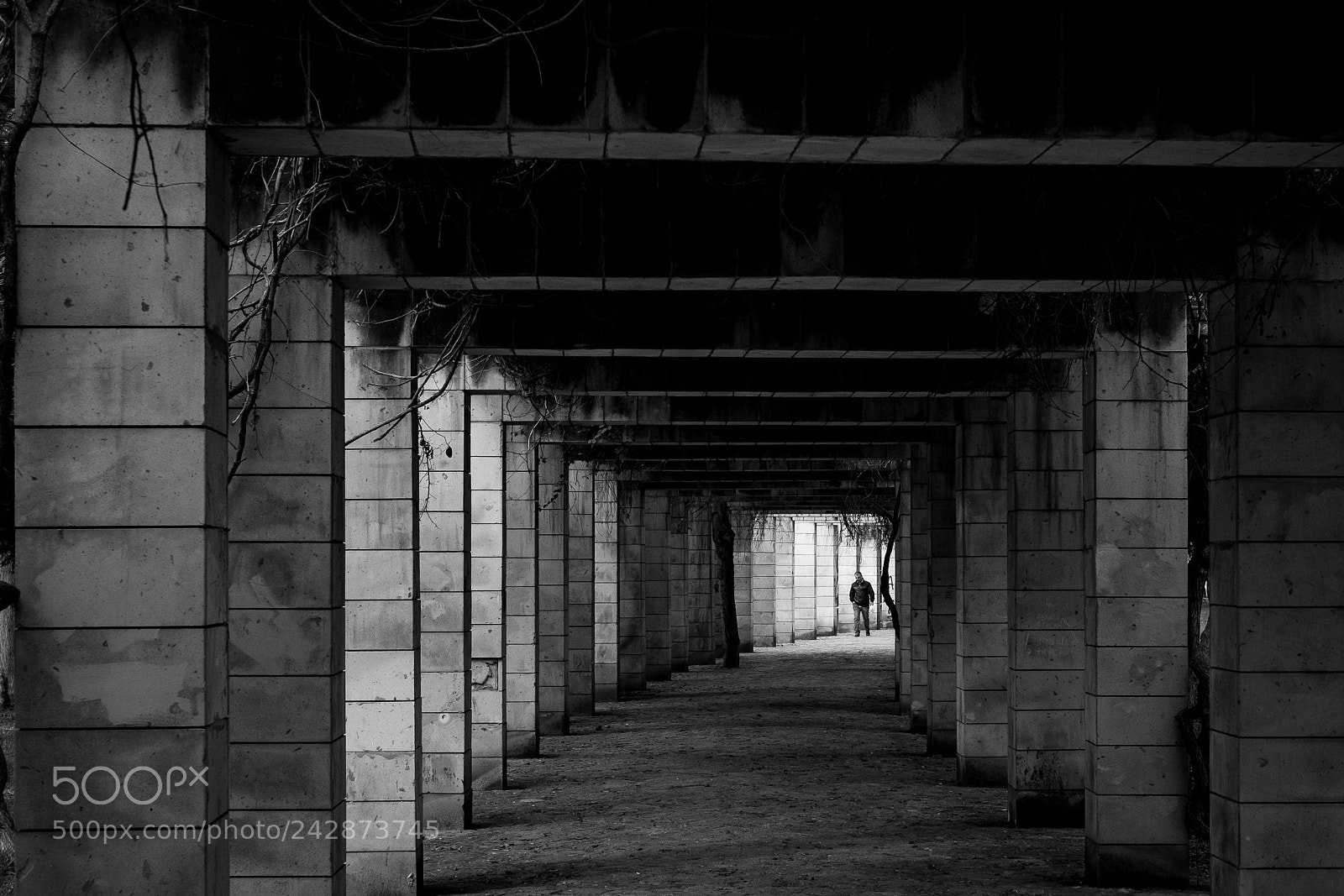 Fujifilm X-T10 sample photo. Bw11565 photography