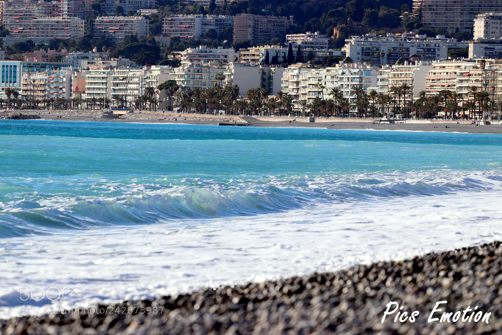 Canon EOS 77D (EOS 9000D / EOS 770D) sample photo. Nice is nice photography