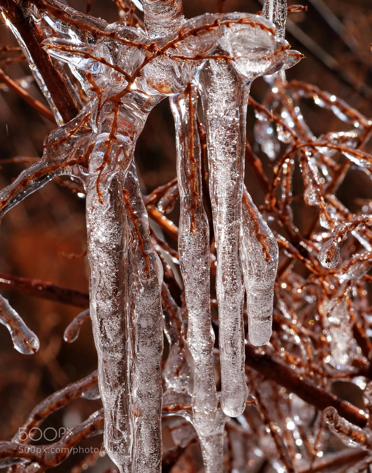 Fujifilm X-E3 sample photo. Icicles photography