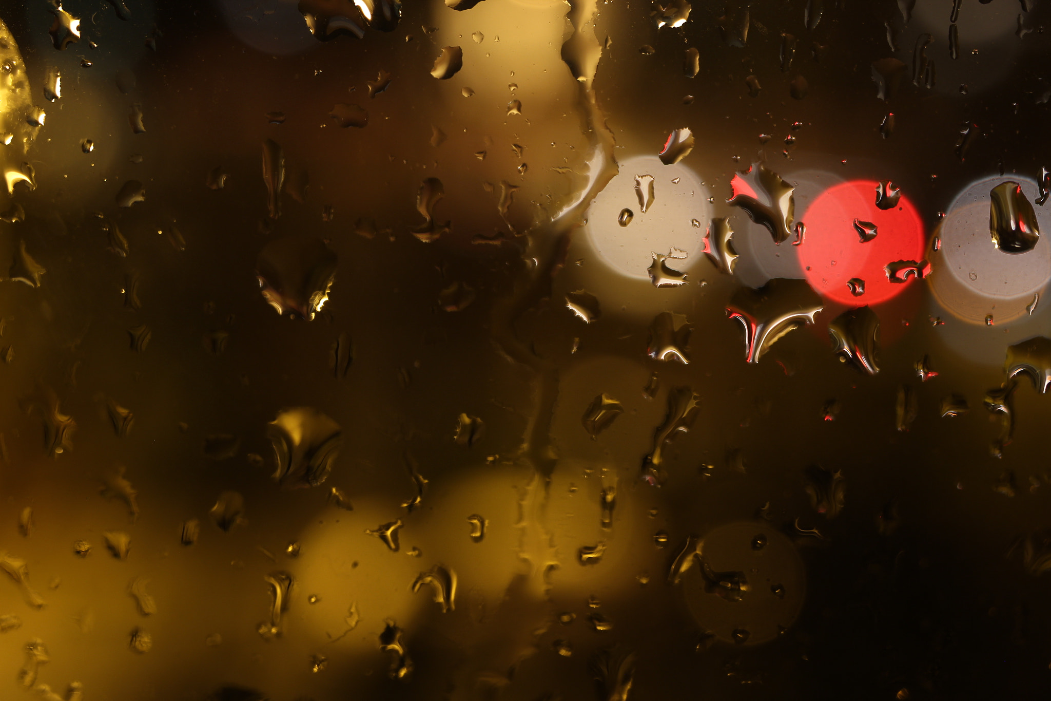 Canon EF-S 35mm F2.8 Macro IS STM sample photo. Drops of the rain behind the window  photography