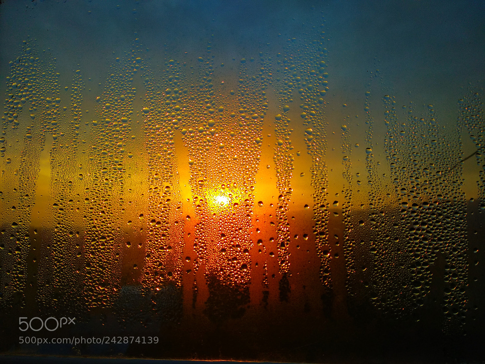 Xiaomi Mi A1 sample photo. Drops at sunset photography