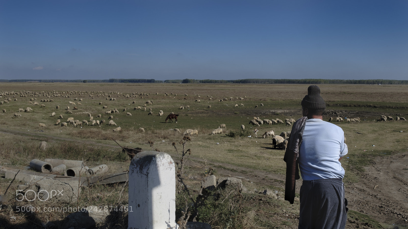 Fujifilm X-T20 sample photo. A shepherd in romania photography