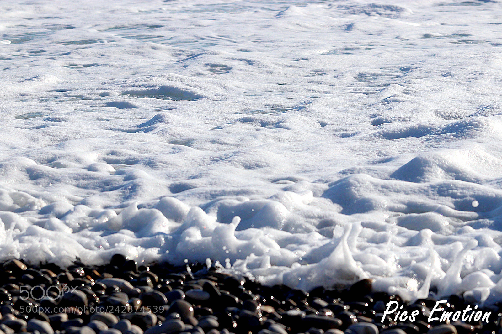 Canon EOS 77D (EOS 9000D / EOS 770D) sample photo. Nice is nice photography