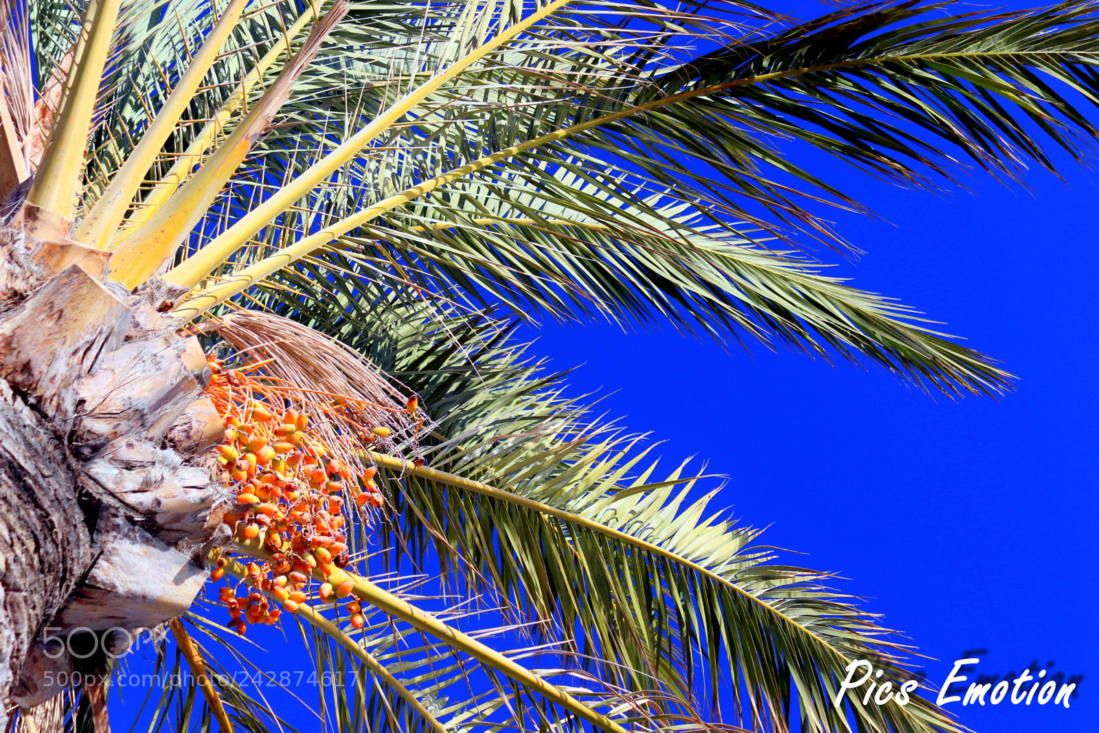 Canon EOS 77D (EOS 9000D / EOS 770D) sample photo. Nice is nice photography