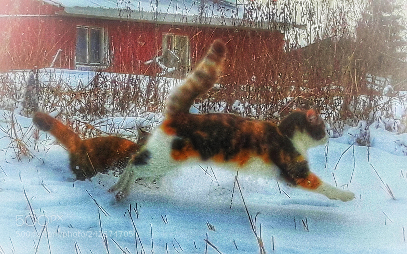 Samsung Galaxy S5 Neo sample photo. Sisters on the run photography