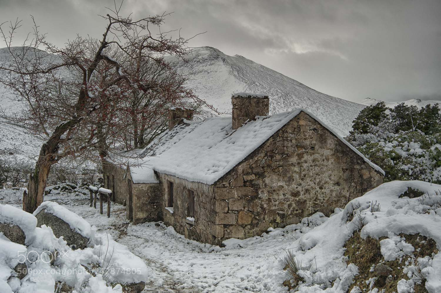 Nikon D700 sample photo. The cottage from game photography