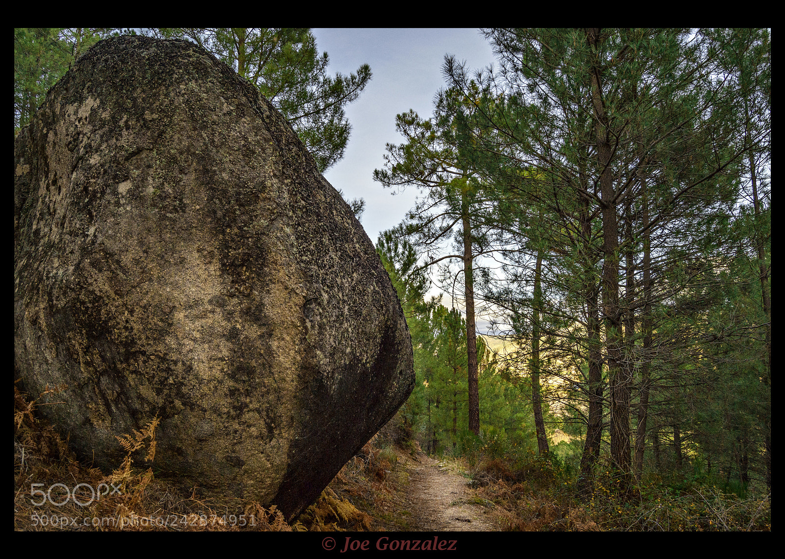 Nikon D3100 sample photo. Stone photography