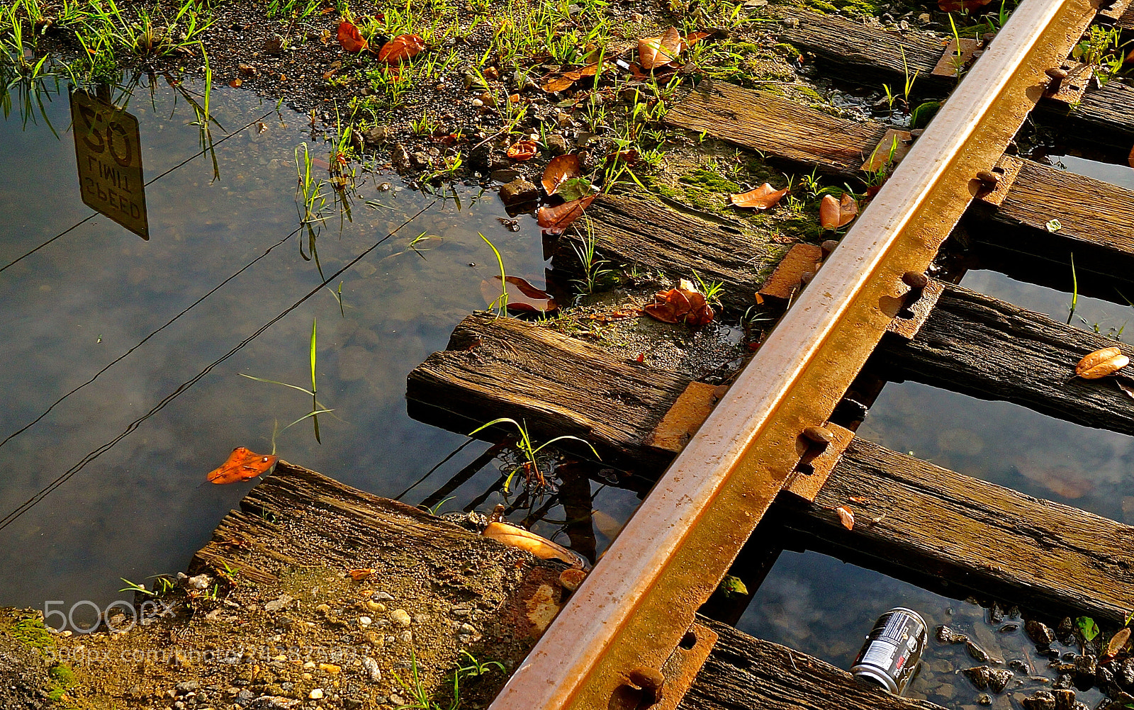 Sony Alpha NEX-3N sample photo. Off the tracks photography