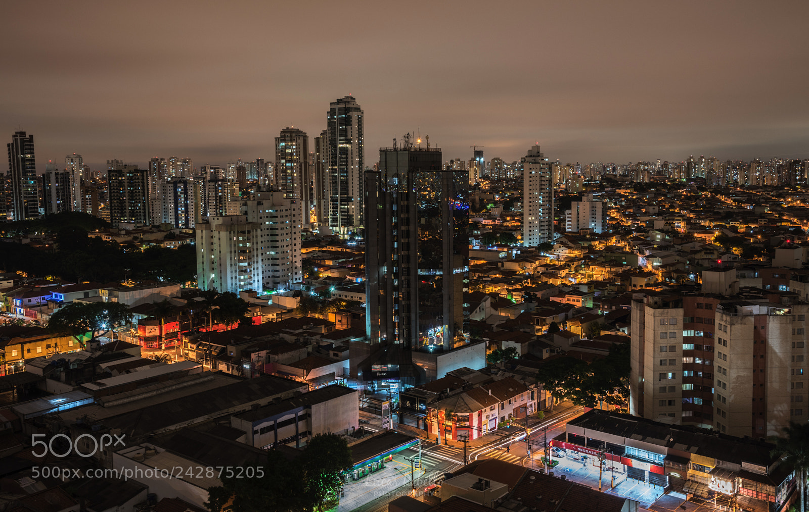Nikon D810 sample photo. Concrete jungle photography