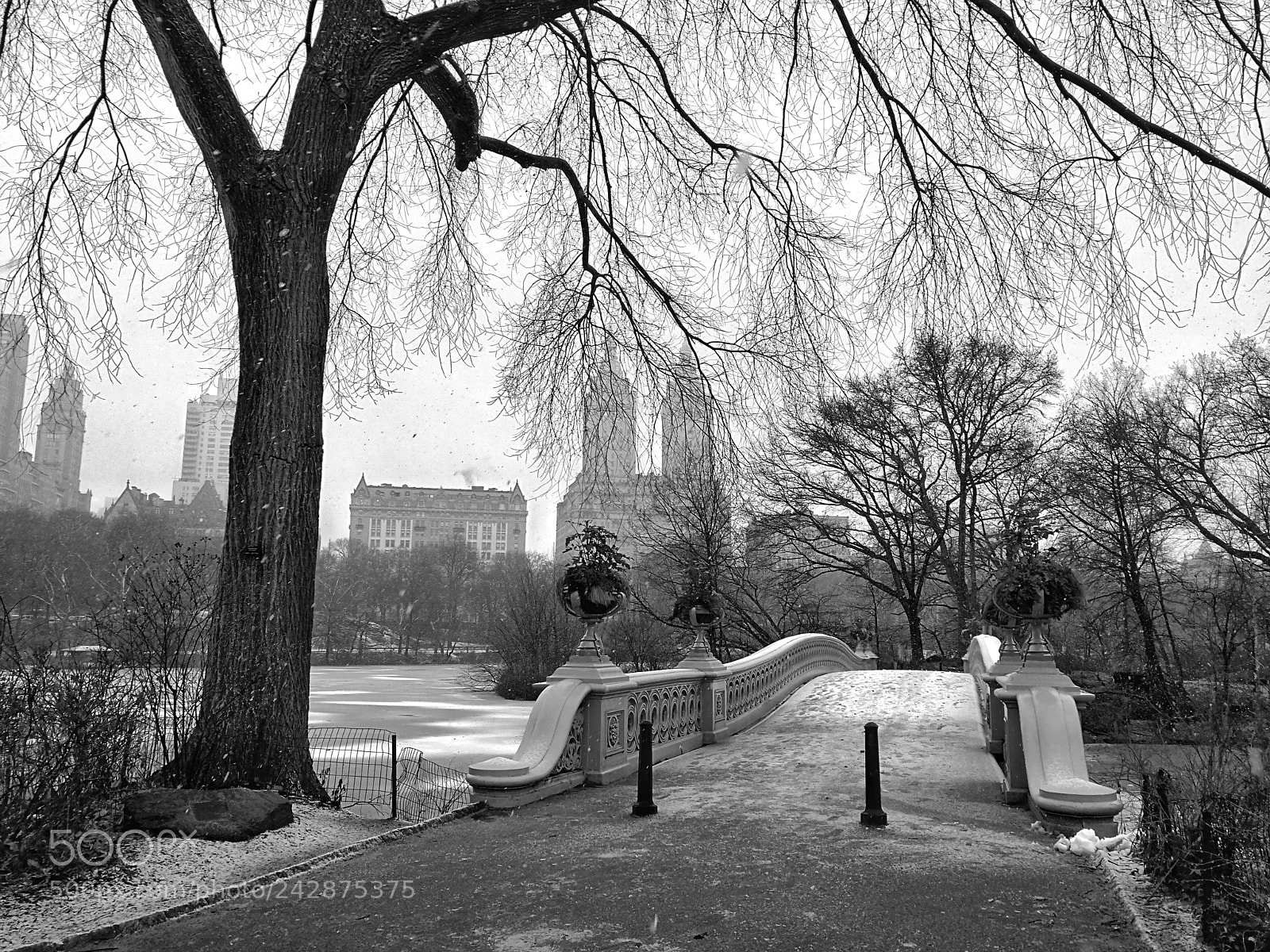 HUAWEI Mate 9 sample photo. An awesome park photography