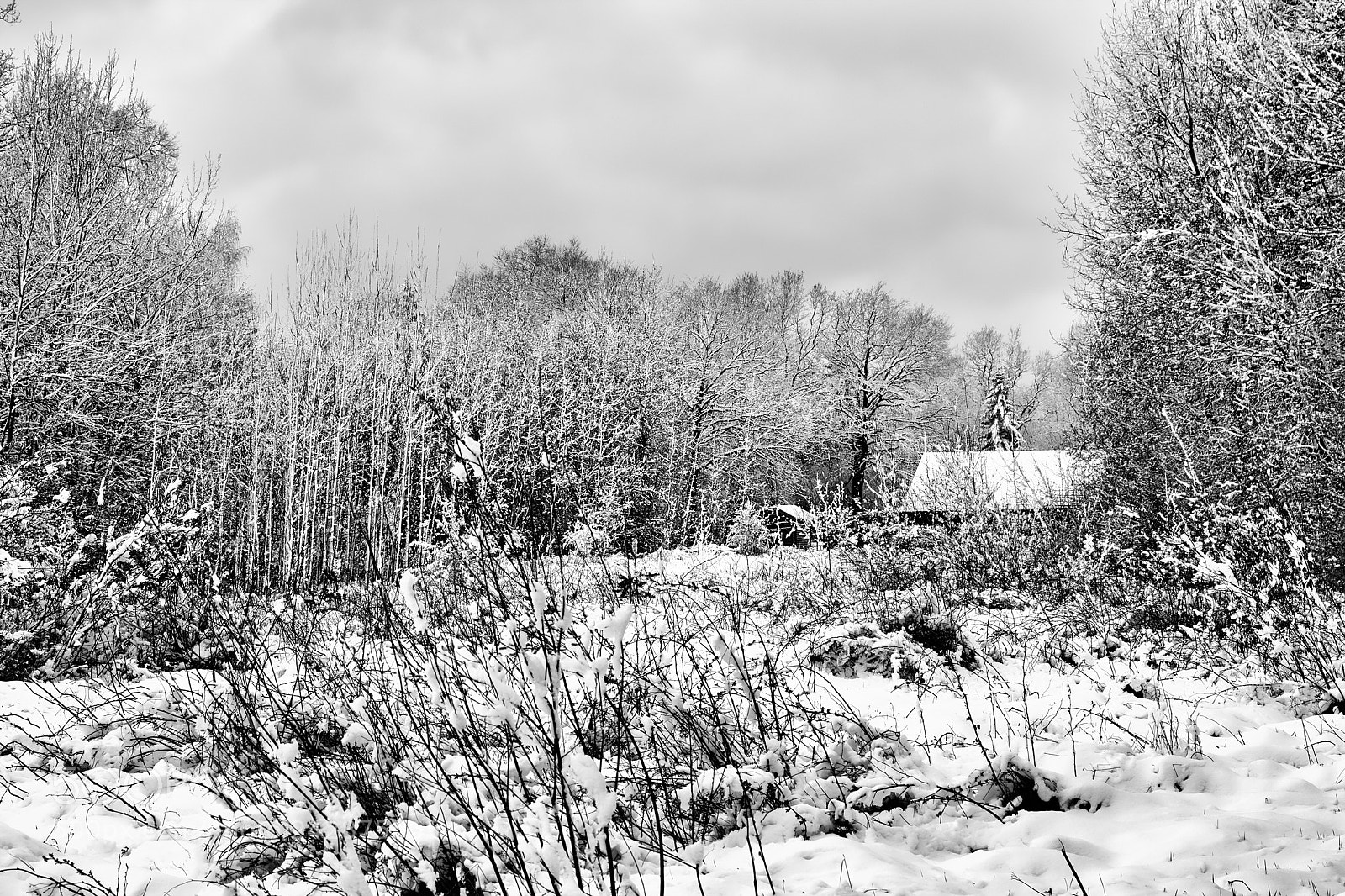 Canon EOS 7D Mark II sample photo. Winter landscape december lonely photography