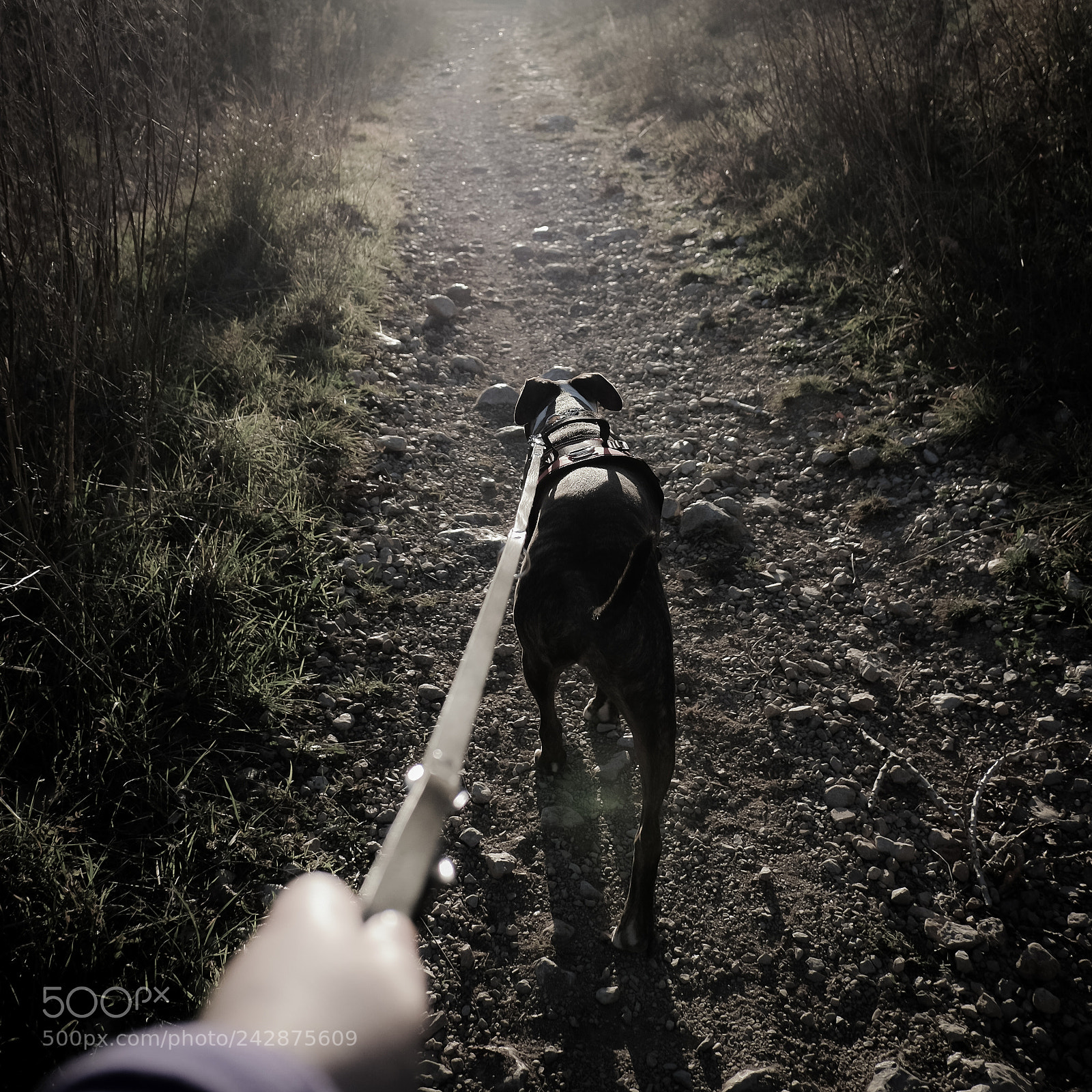 Fujifilm X-T10 sample photo. Untitled photography