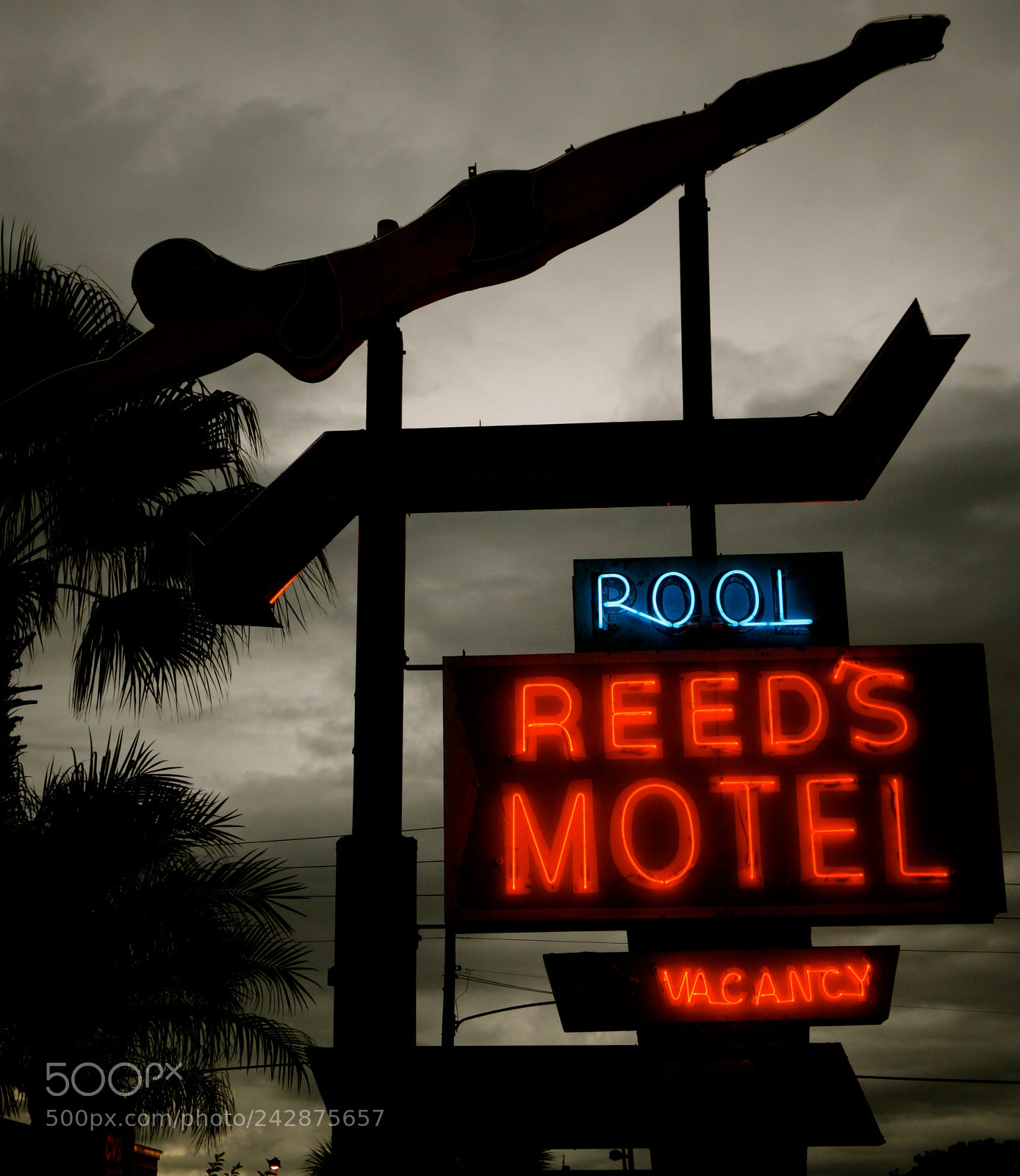 Sony Alpha NEX-3N sample photo. Reeds mote, florida photography