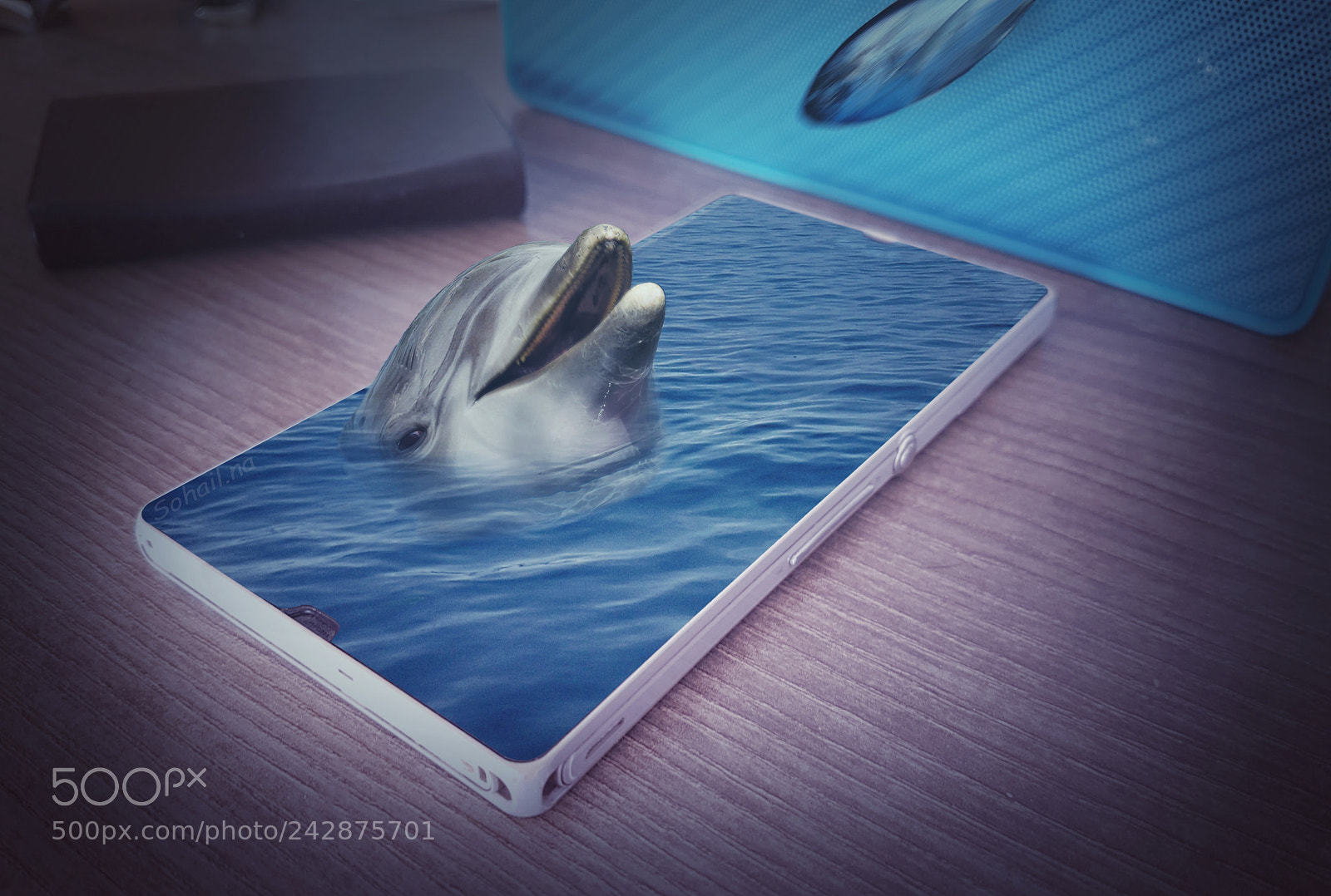 Samsung Galaxy S7 sample photo. Dolphin photography