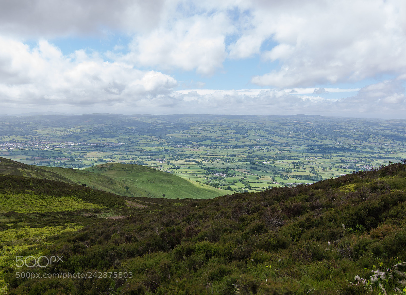 Nikon D7200 sample photo. Up the hill to photography