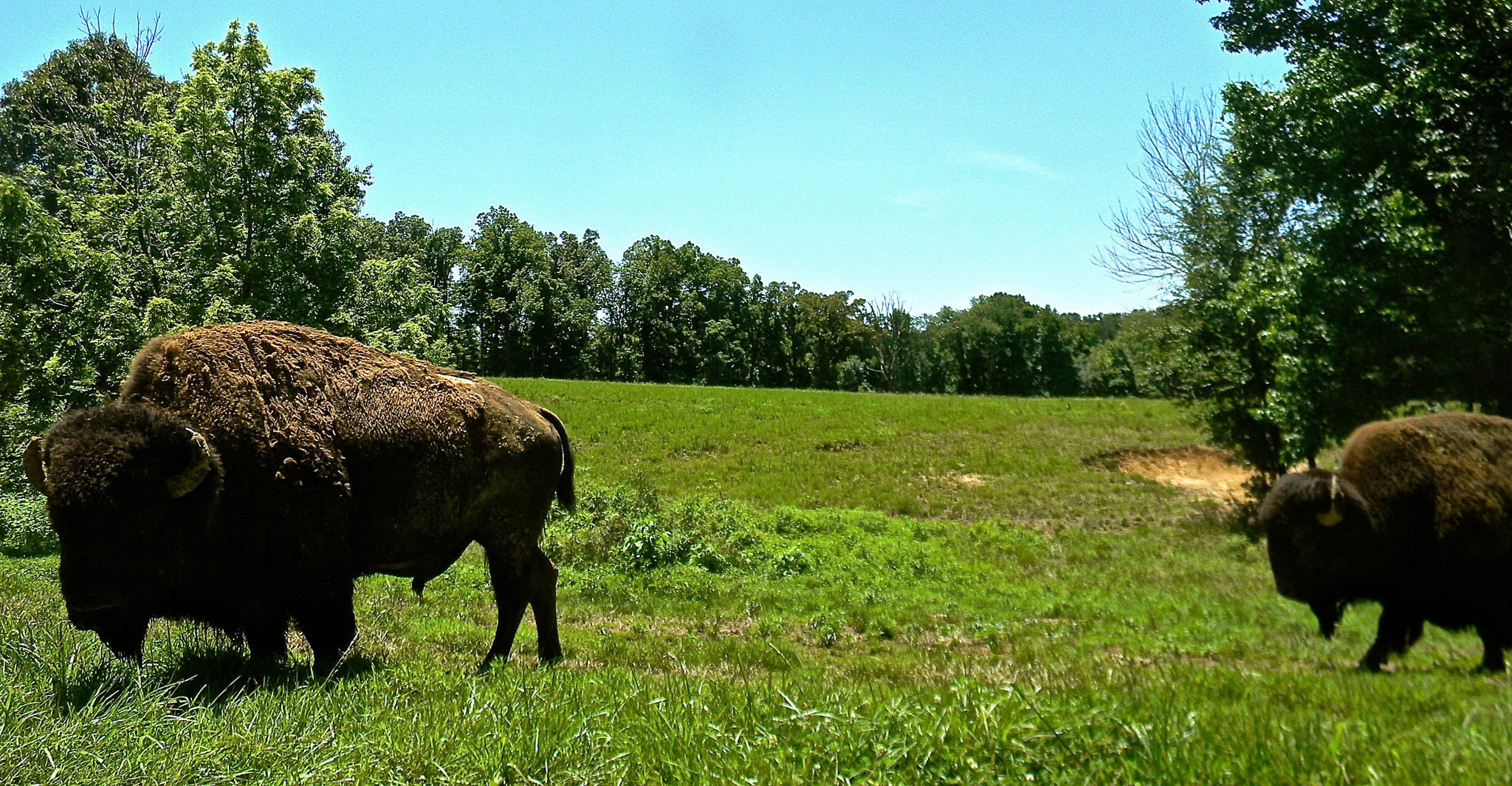 Nikon Coolpix L110 sample photo. Home on the range photography