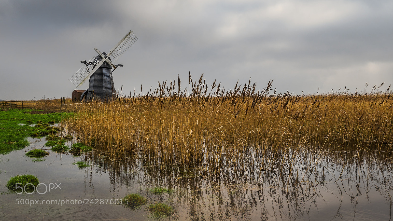 Sony a7 II sample photo. The mill photography