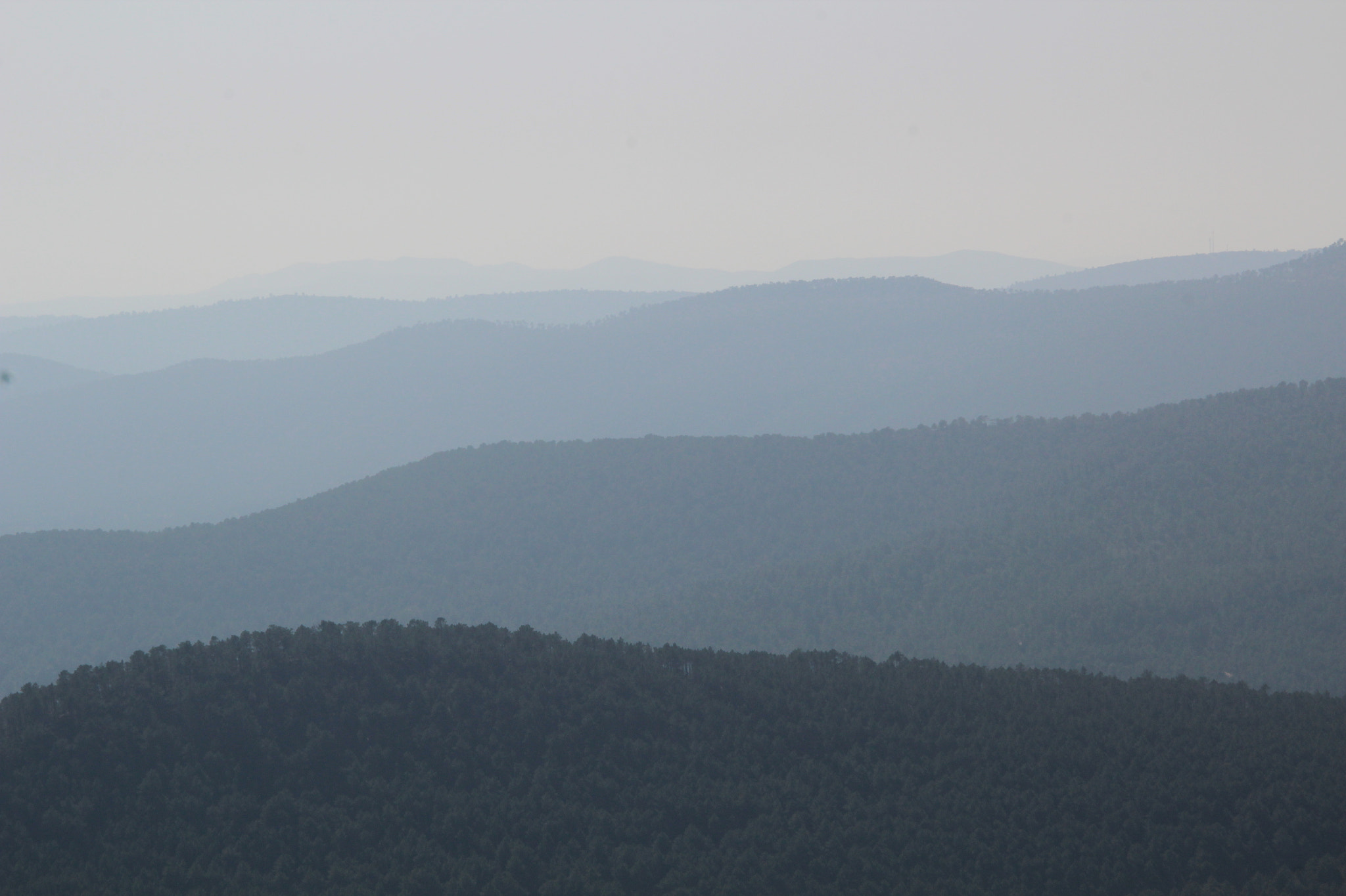 Sigma 18-200mm f/3.5-6.3 DC OS sample photo. Img photography