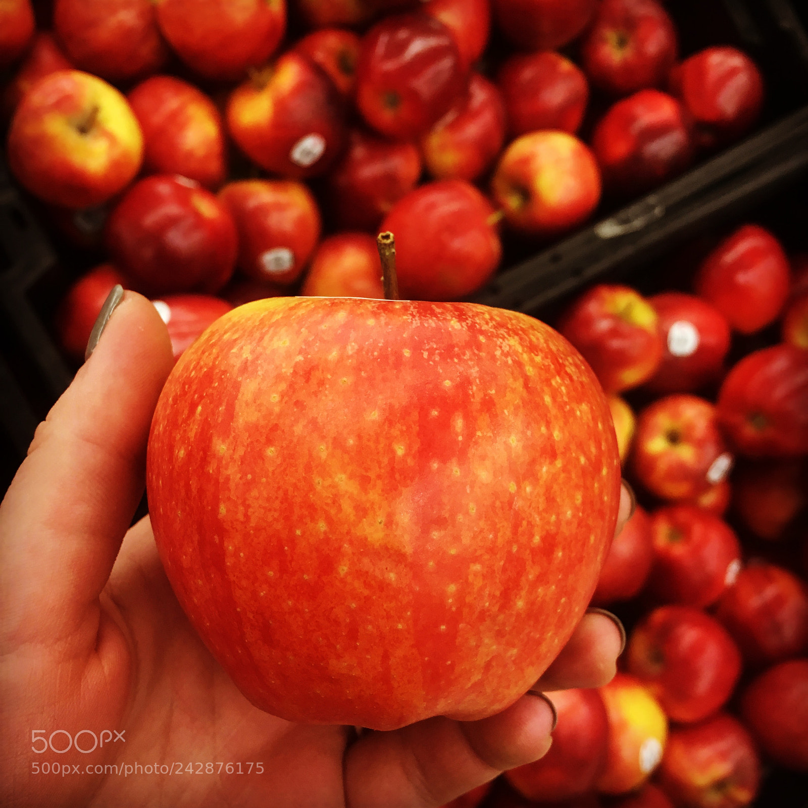 Apple iPhone 6s sample photo. You know what they photography