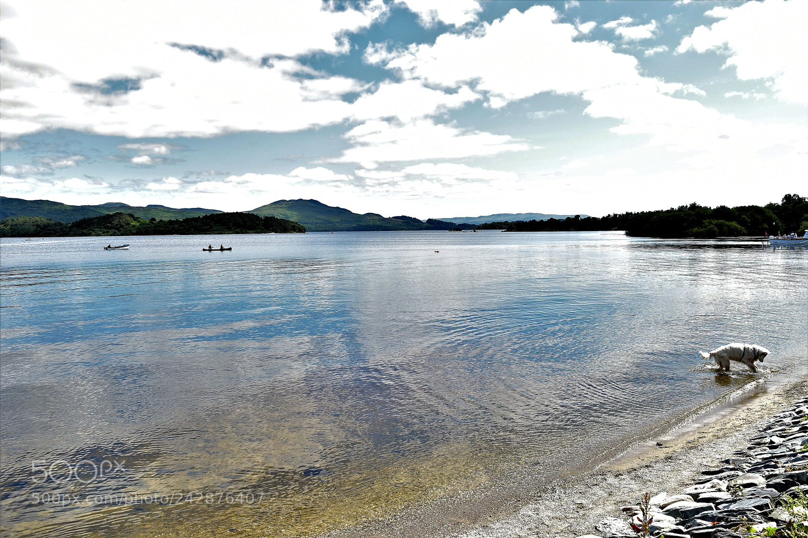Nikon D5500 sample photo. Luss dog photography